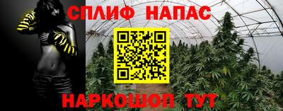 мяу мяу мука Пугачёв