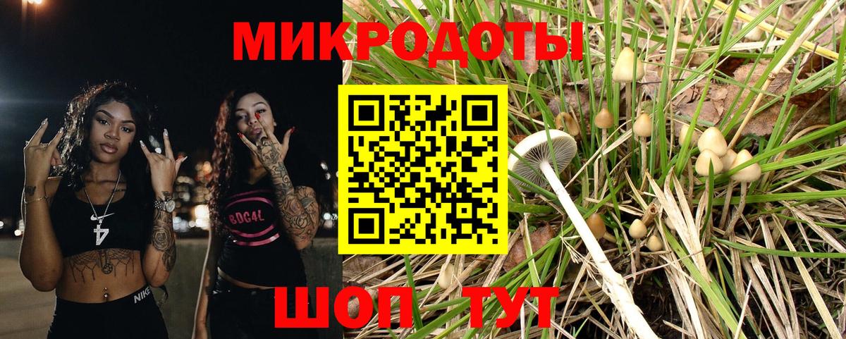 Псилоцибиновые грибы мухоморы Мценск