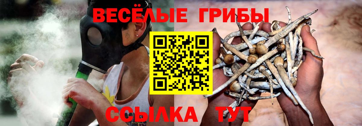 Псилоцибиновые грибы Psilocybe  Вход с VPN  Мценск 